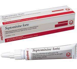 Septomixine (Септомиксин) - паста для антисептич обработки перед пломбированием 75гр Septodont